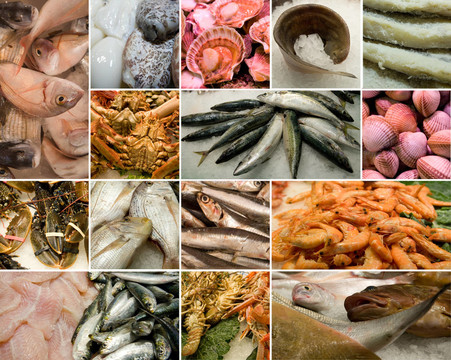 食品
