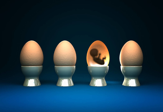 生活
