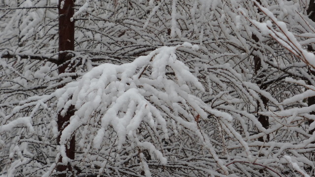 大興安嶺冰雪世界