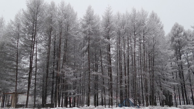 大興安嶺冰雪世界