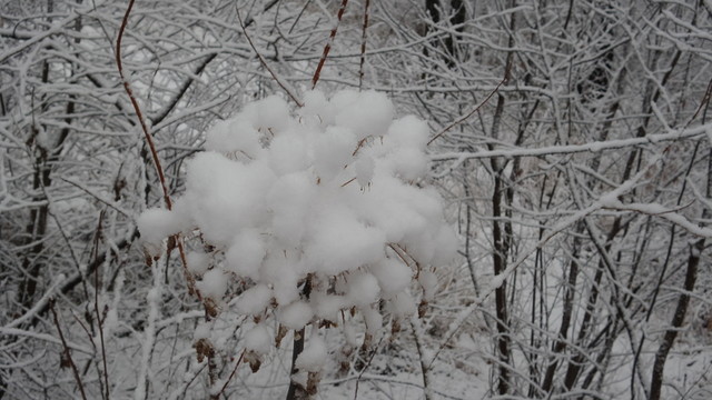 大興安嶺冰雪世界