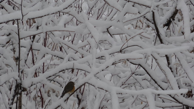 大興安嶺冰雪世界