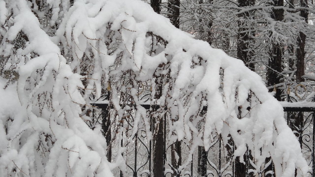 大興安嶺冰雪世界