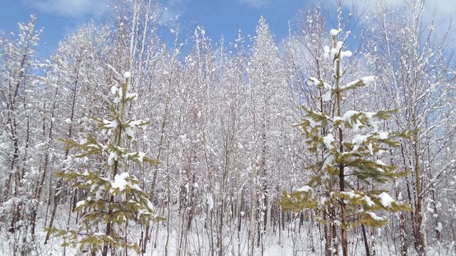 大興安嶺冰雪世界
