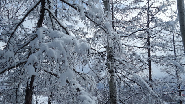大興安嶺冰雪世界