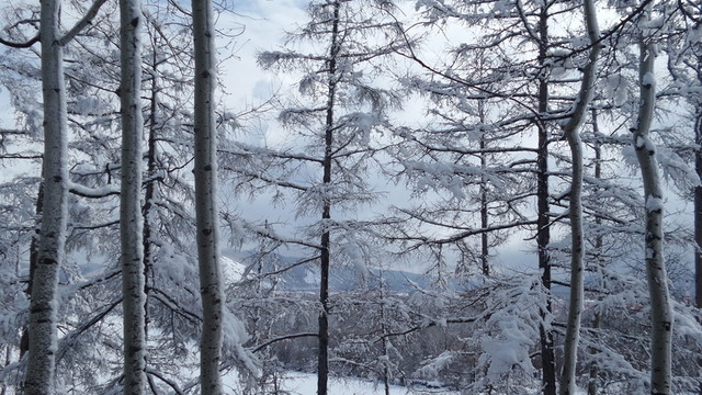 大興安嶺冰雪世界