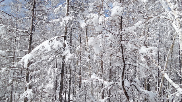 大興安嶺冰雪世界