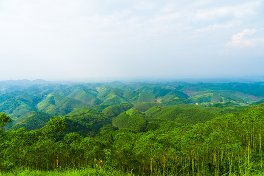 丘陵地帶