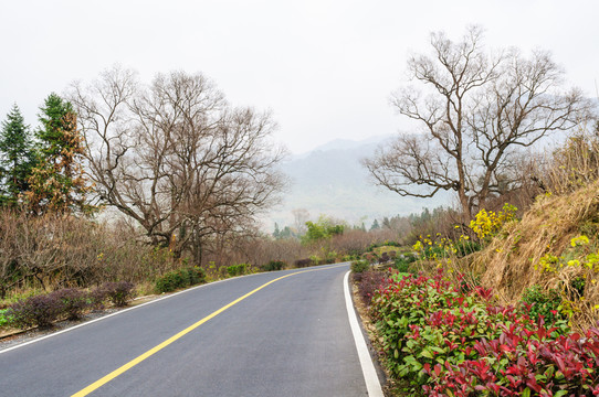 塔川公路秋色