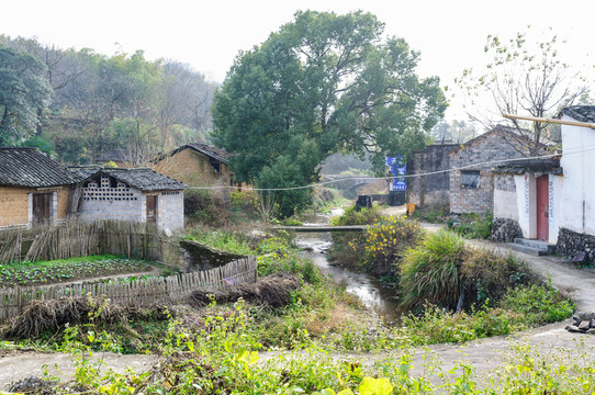 塔川村景