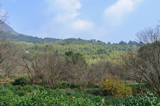 塔川秋色