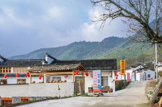 塔川村景