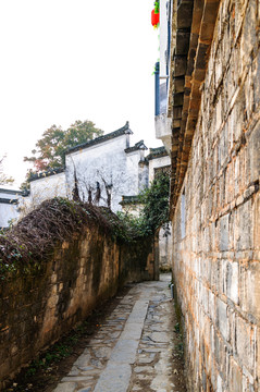 塔川村景