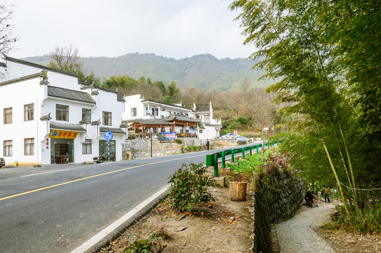 塔川村景