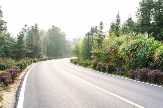 塔川公路秋色