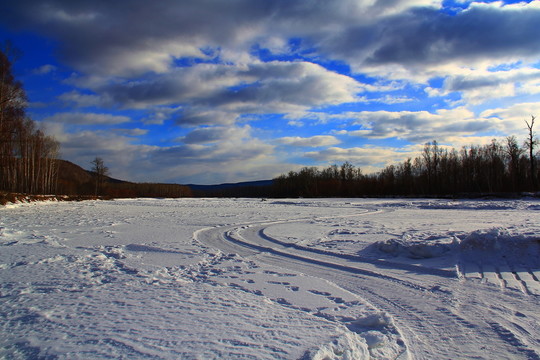 241雪野13