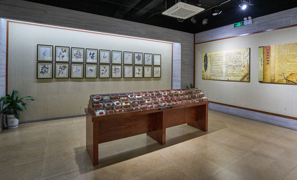 中藥展覽館 中藥展廳 高清大圖