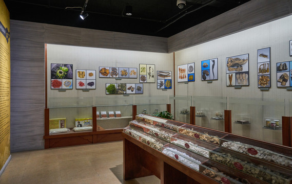 中藥展覽館 中藥展廳 高清大圖