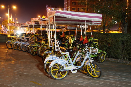 自行車 觀光車 游覽車 運動