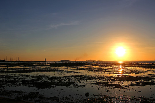 海灘 灘涂 夕陽 落日