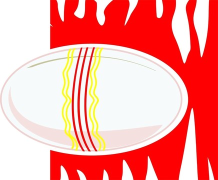 食品