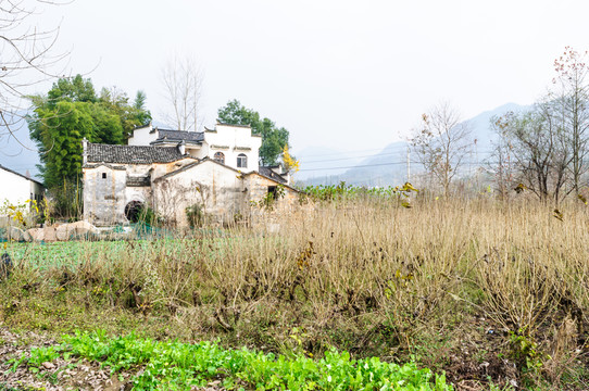 屏山民居
