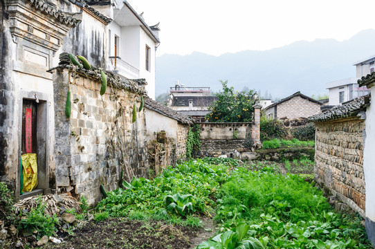 屏山民居