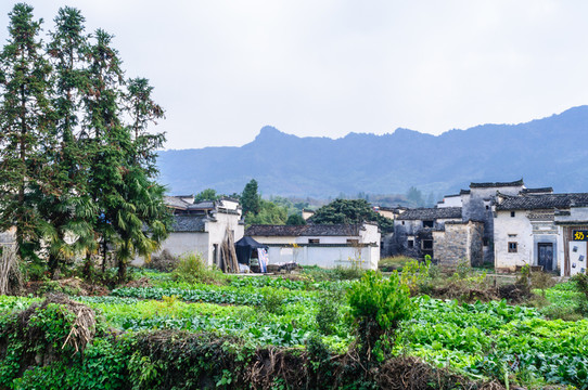 屏山民居