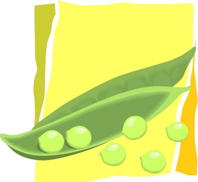 豆味