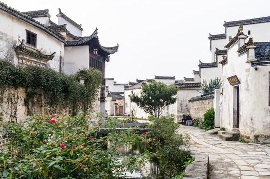 屏山吉陽溪