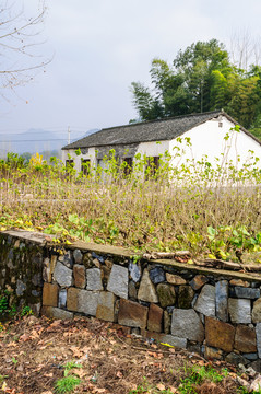 屏山民居