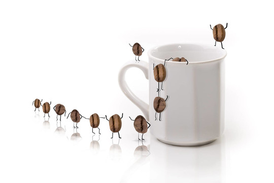 杯