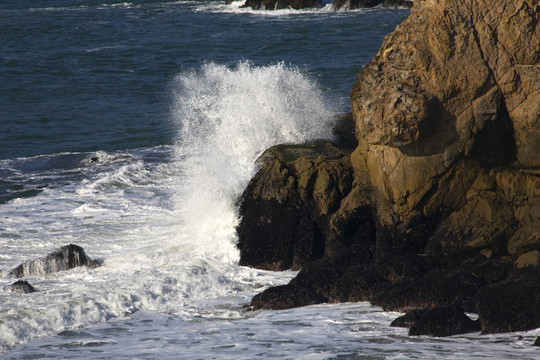 沖浪