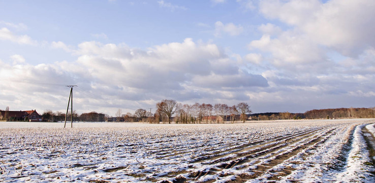 我ünsterland