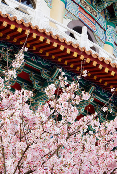 花卉