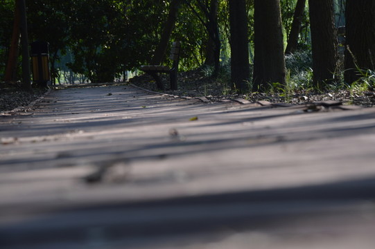 林間小道
