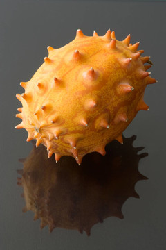 horngurke