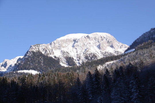 山