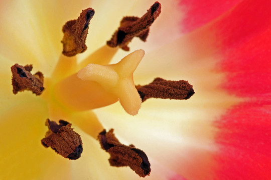 郵票