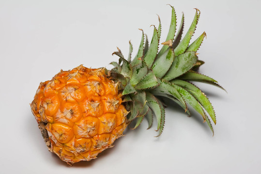 親愛的菠蘿