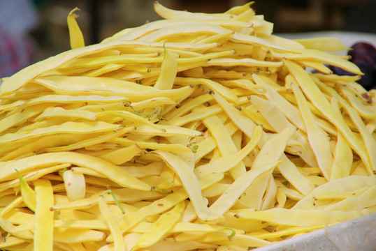 轉(zhuǎn)輪菜豆02