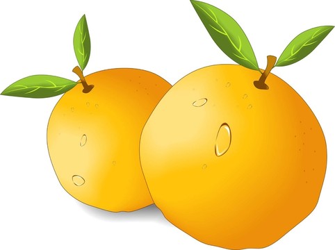 橙