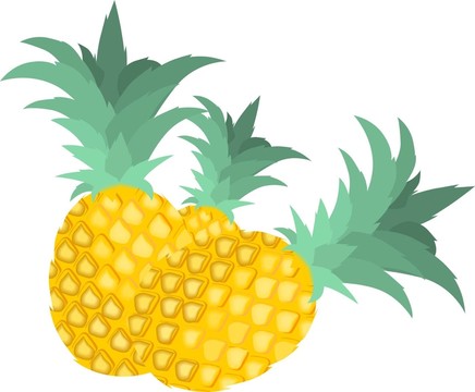 水果