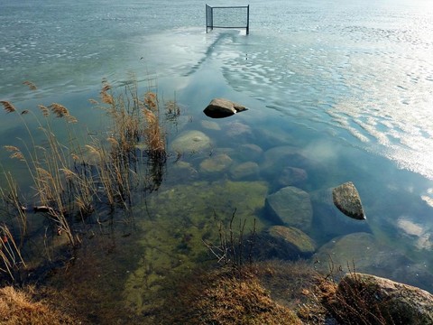 水域