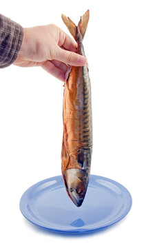 食品
