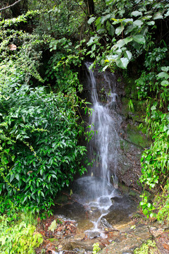 大理蒼山 小溪流水