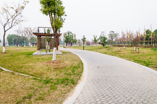 江濱公園景觀