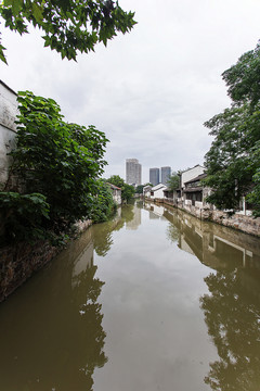 青果巷