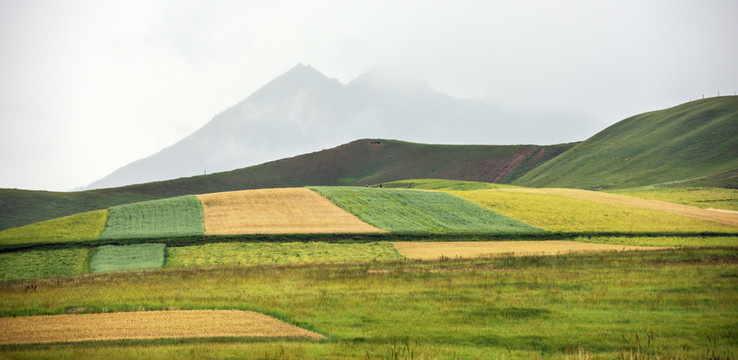 高原原野