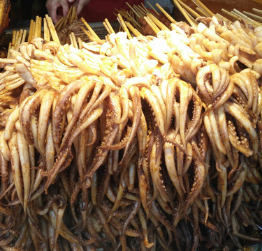 烤魷魚(yú)